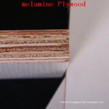 Film Faced Plywood for Constrcution (1220mm*2440mm/1250mm*2500mm)